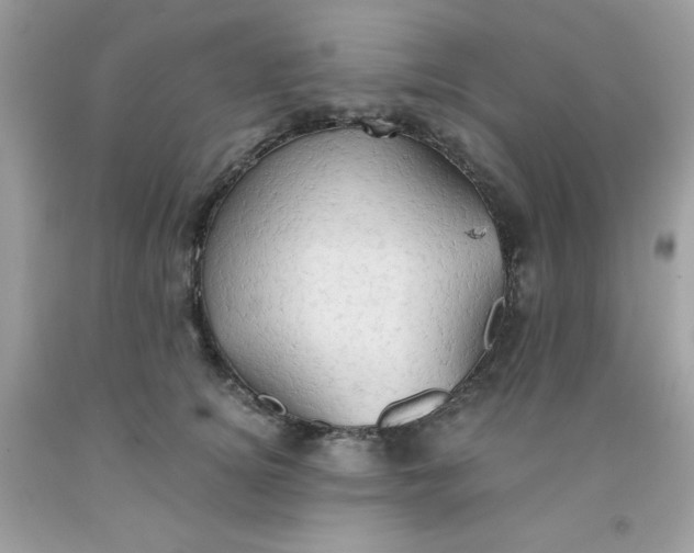 X0000091570756200709051038