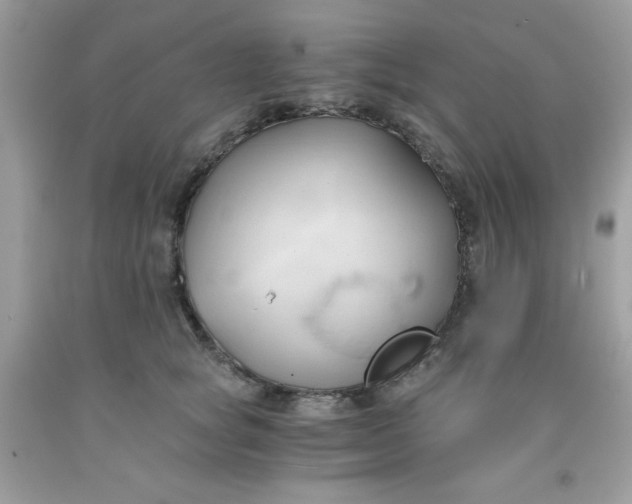 X0000091570757200709051038