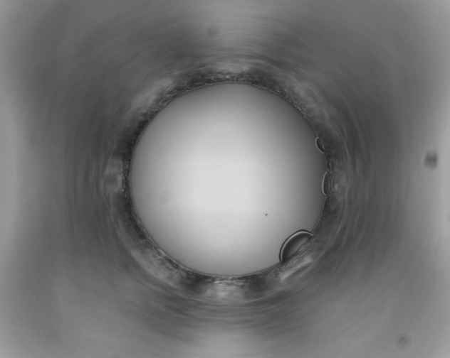 X0000091570758200709051038