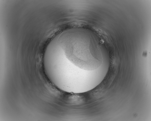 X0000091570759200709051038