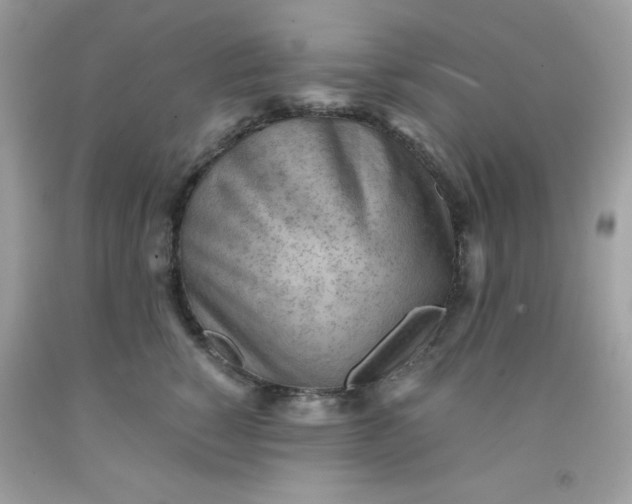 X0000091570760200709051038