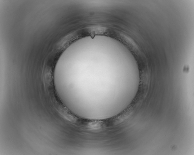 X0000091570761200709051038
