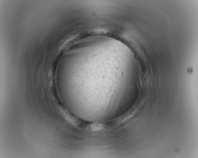 X0000091570762200709051038
