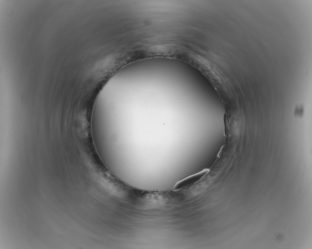 X0000091570764200709051038