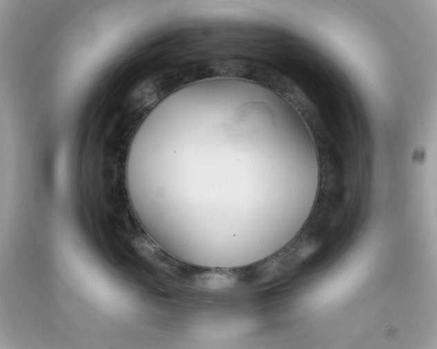 X0000091570765200709051038