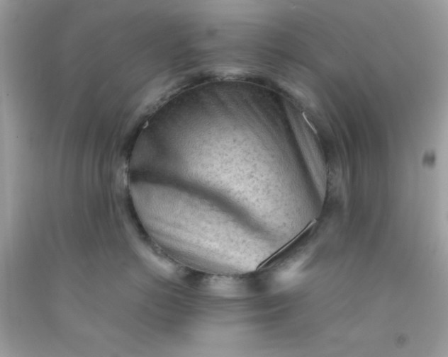 X0000091570766200709051038