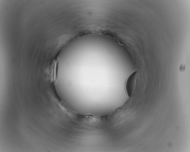 X0000091570768200709051038