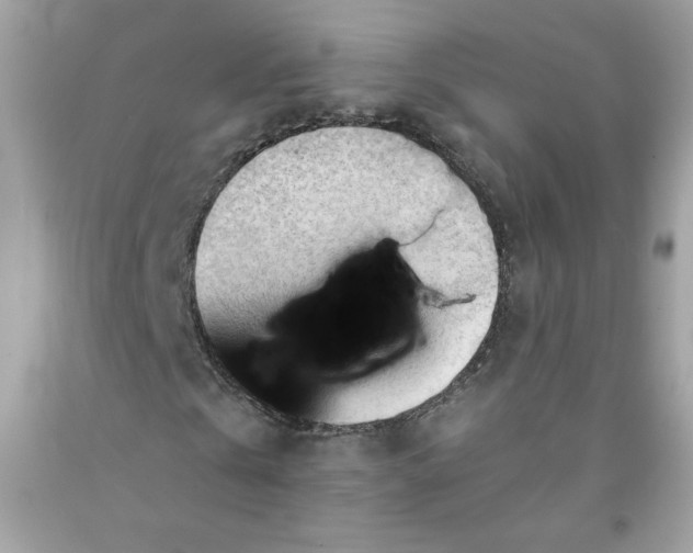 X0000091570769200709051038
