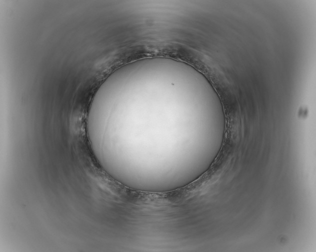 X0000091570770200709051038