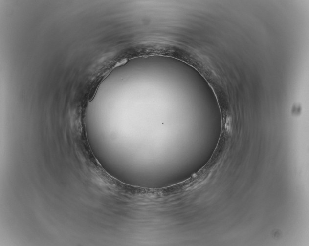 X0000091570771200709051038