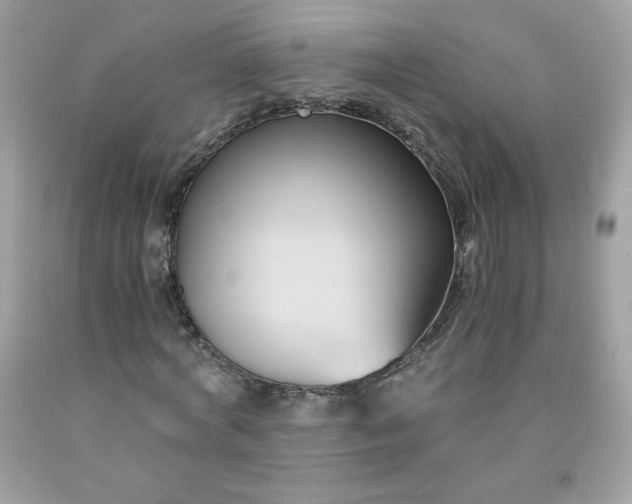 X0000091570772200709051038