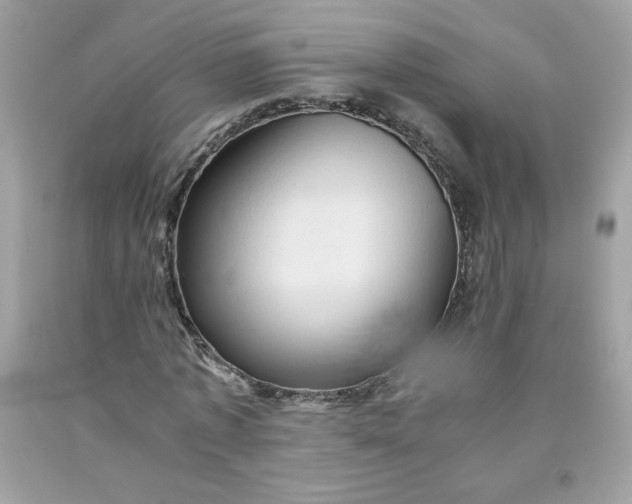 X0000091570773200709051038