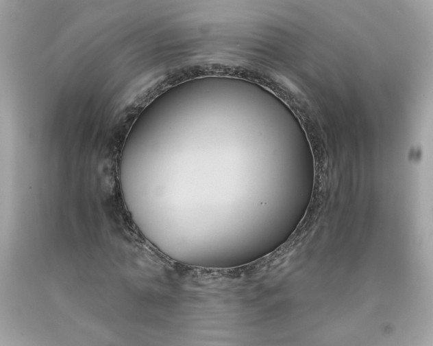 X0000091570774200709051038