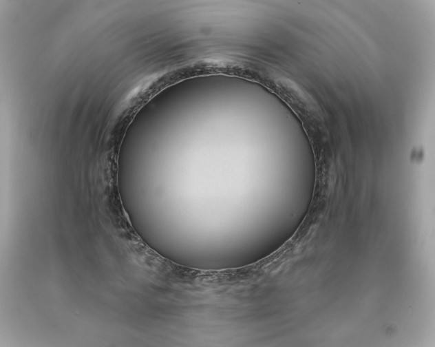 X0000091570776200709051038