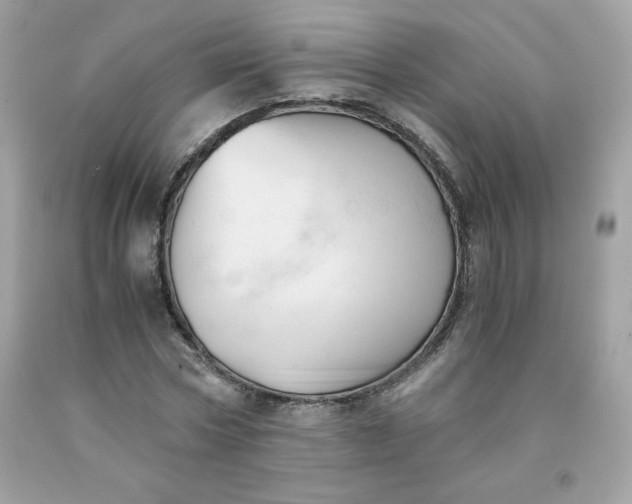 X0000091570778200709051038