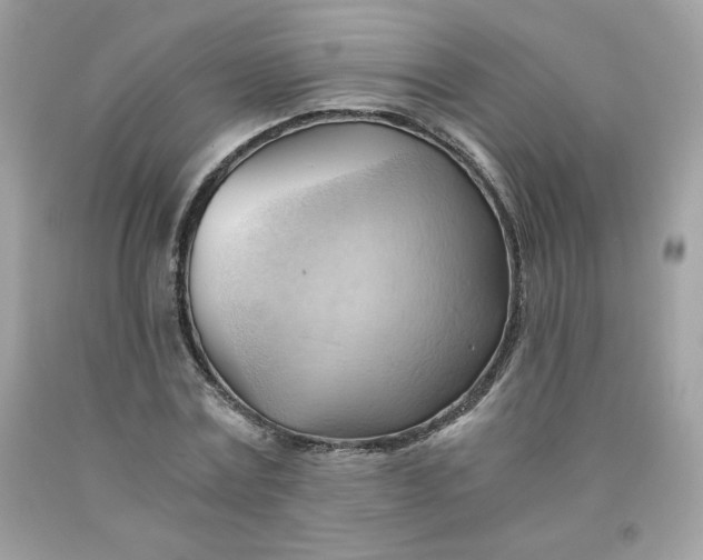 X0000091570779200709051038