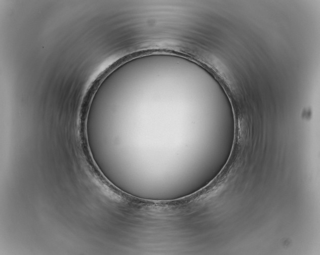 X0000091570780200709051038