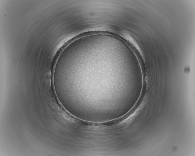 X0000091570781200709051038