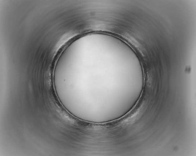 X0000091570782200709051038