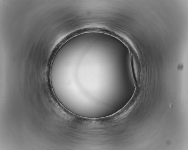 X0000091570783200709051038