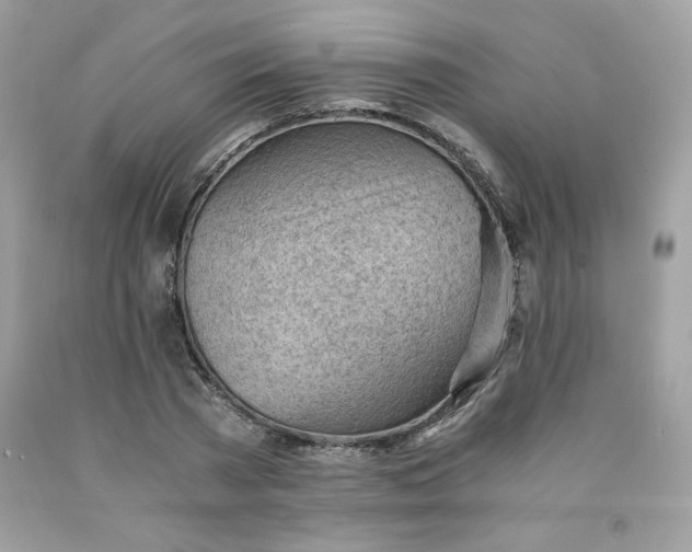 X0000091570785200709051037