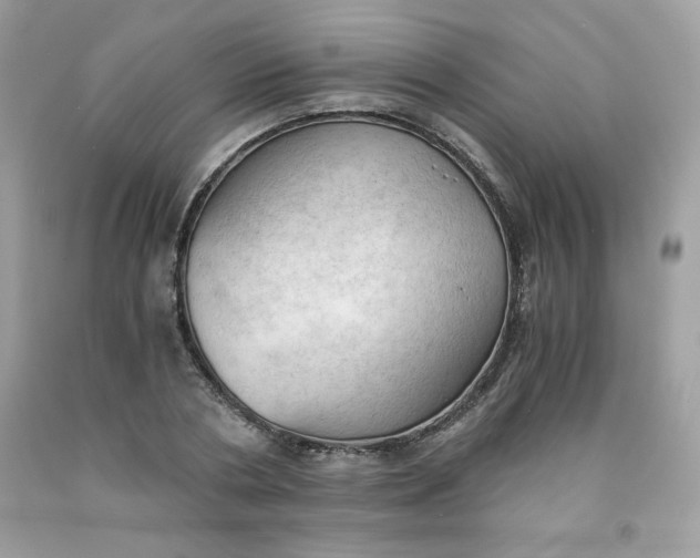 X0000091570786200709051037