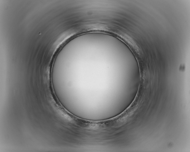 X0000091570790200709051037