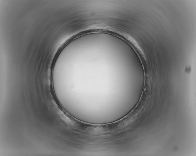 X0000091570791200709051037
