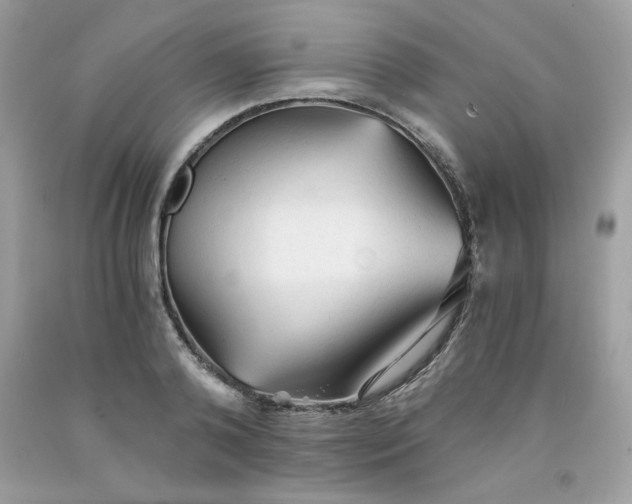 X0000091570792200709051037
