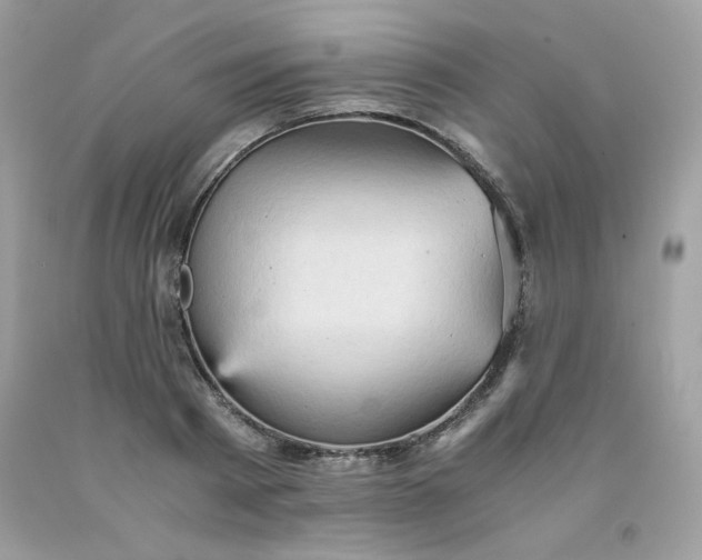 X0000091570793200709051037