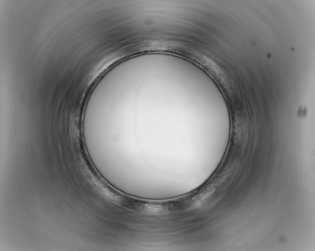 X0000091570794200709051037