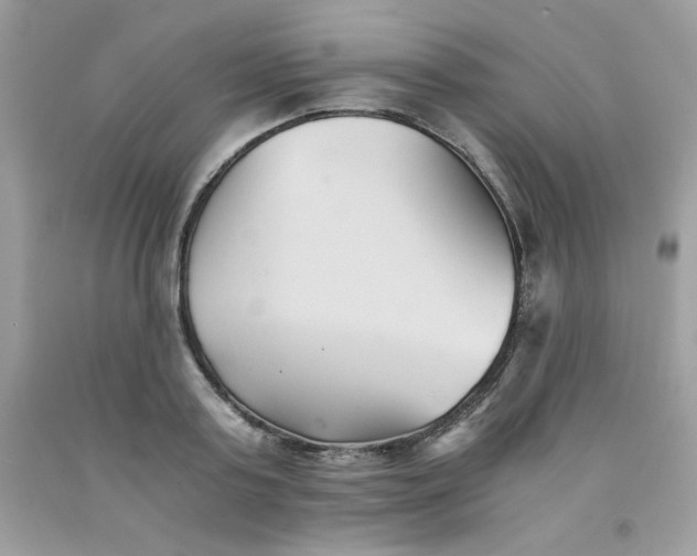 X0000091570795200709051037