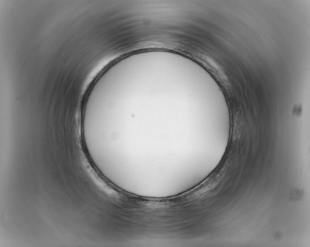 X0000091570796200709051037