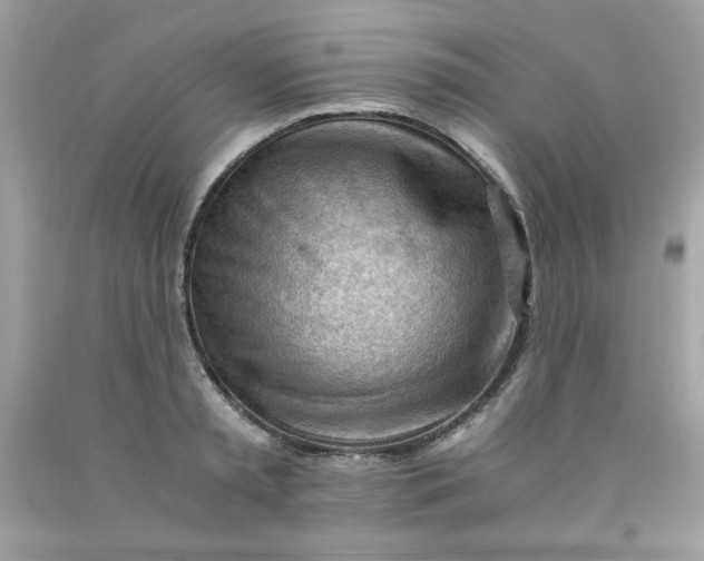 X0000091570797200709051037