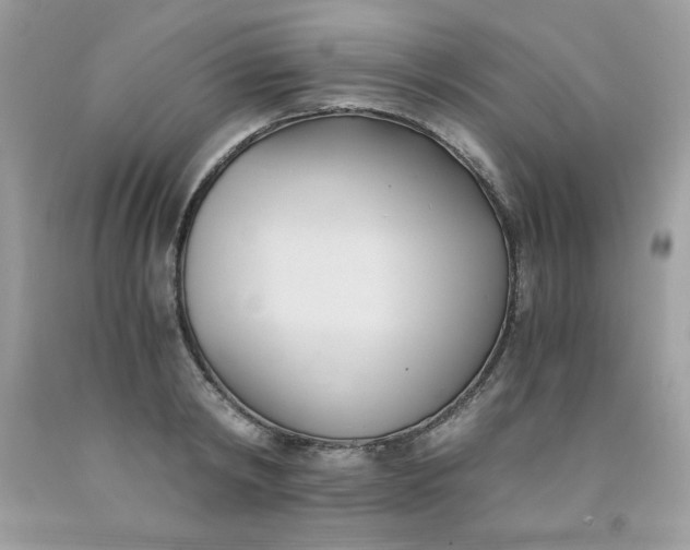X0000091570798200709051037