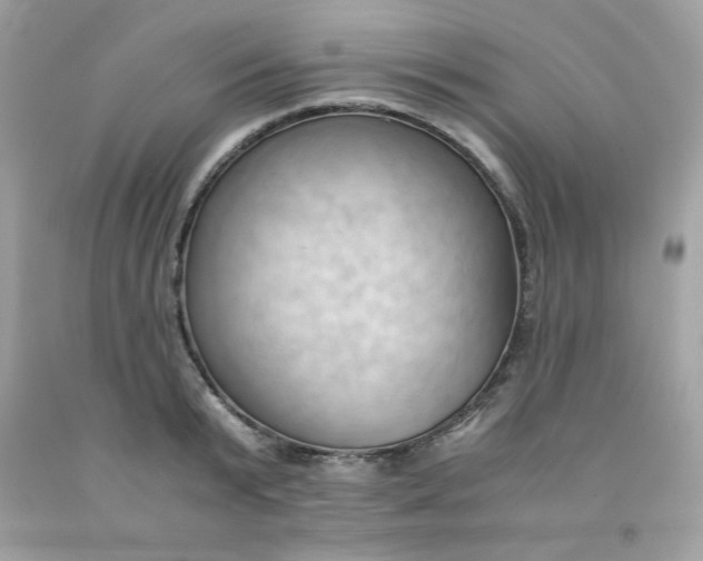 X0000091570799200709051037