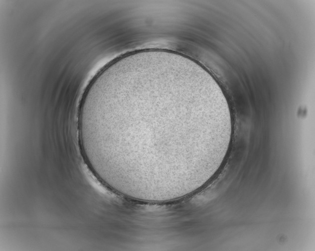 X0000091570800200709051037
