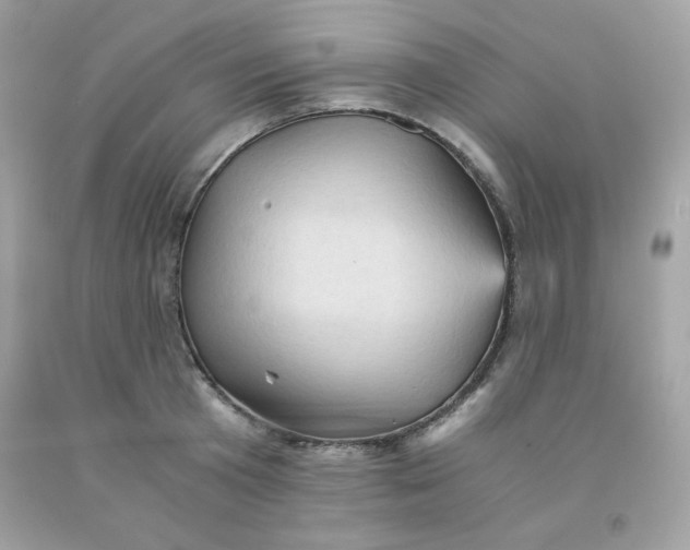 X0000091570801200709051037