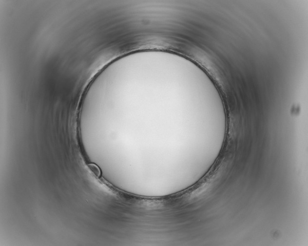 X0000091570802200709051037