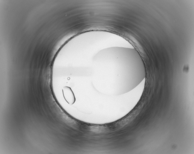 X0000091570804200709051037