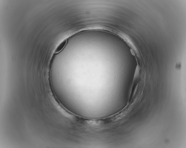 X0000091570805200709051037