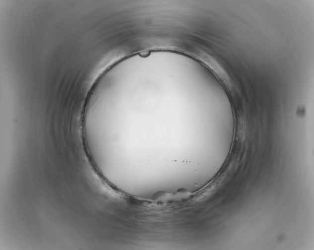 X0000091570806200709051037