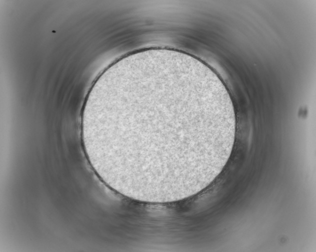 X0000091570807200709051037