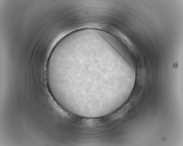 X0000091570808200709051037