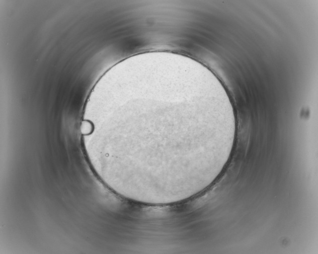 X0000091570810200709051037
