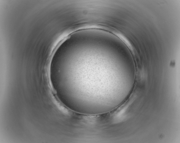 X0000091570813200709051037