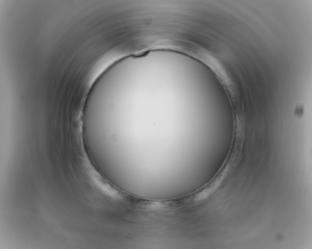 X0000091570814200709051037