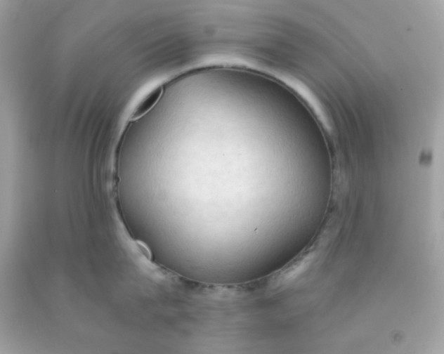 X0000091570815200709051037