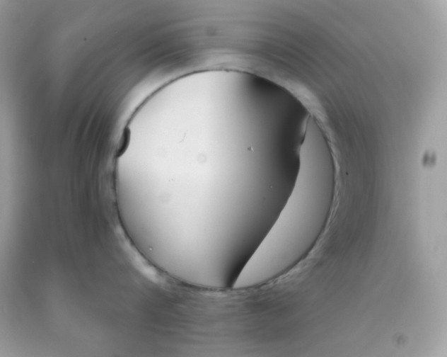 X0000091570816200709051037