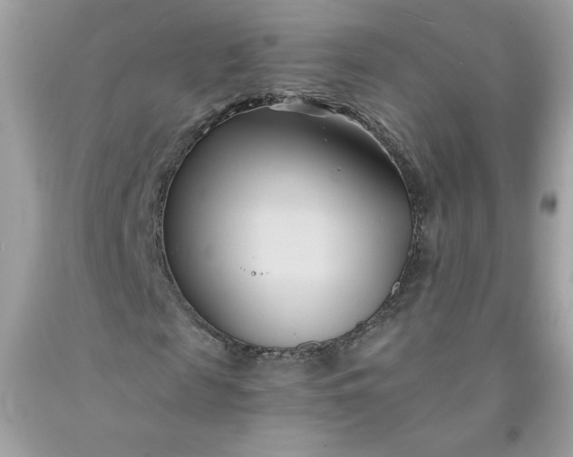 X0000091570817200709051036